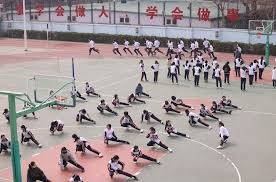 2026 WBC：日本队首批 8 人名单出炉，大谷翔平、菊池雄星、松井裕树领衔美职阵容